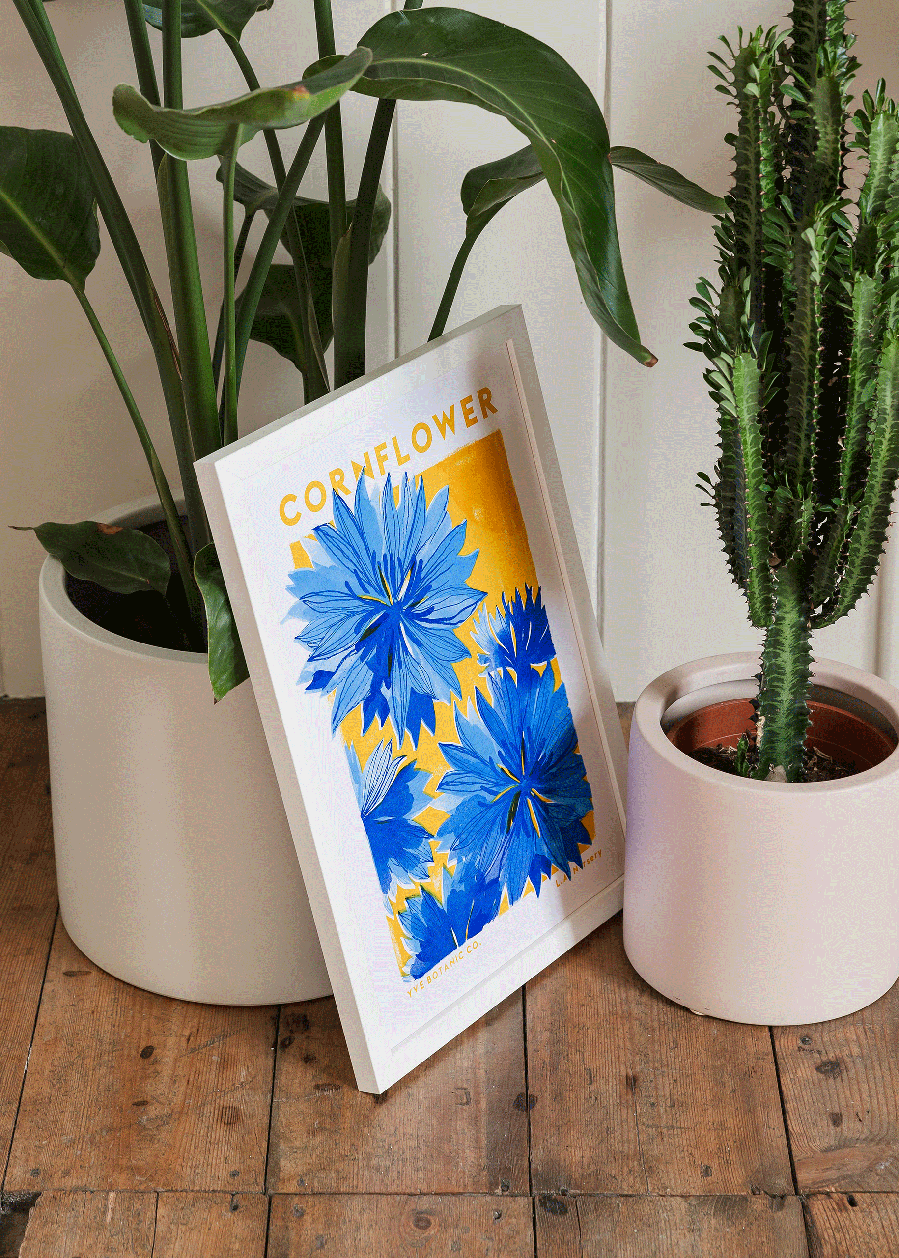 cornflower print
