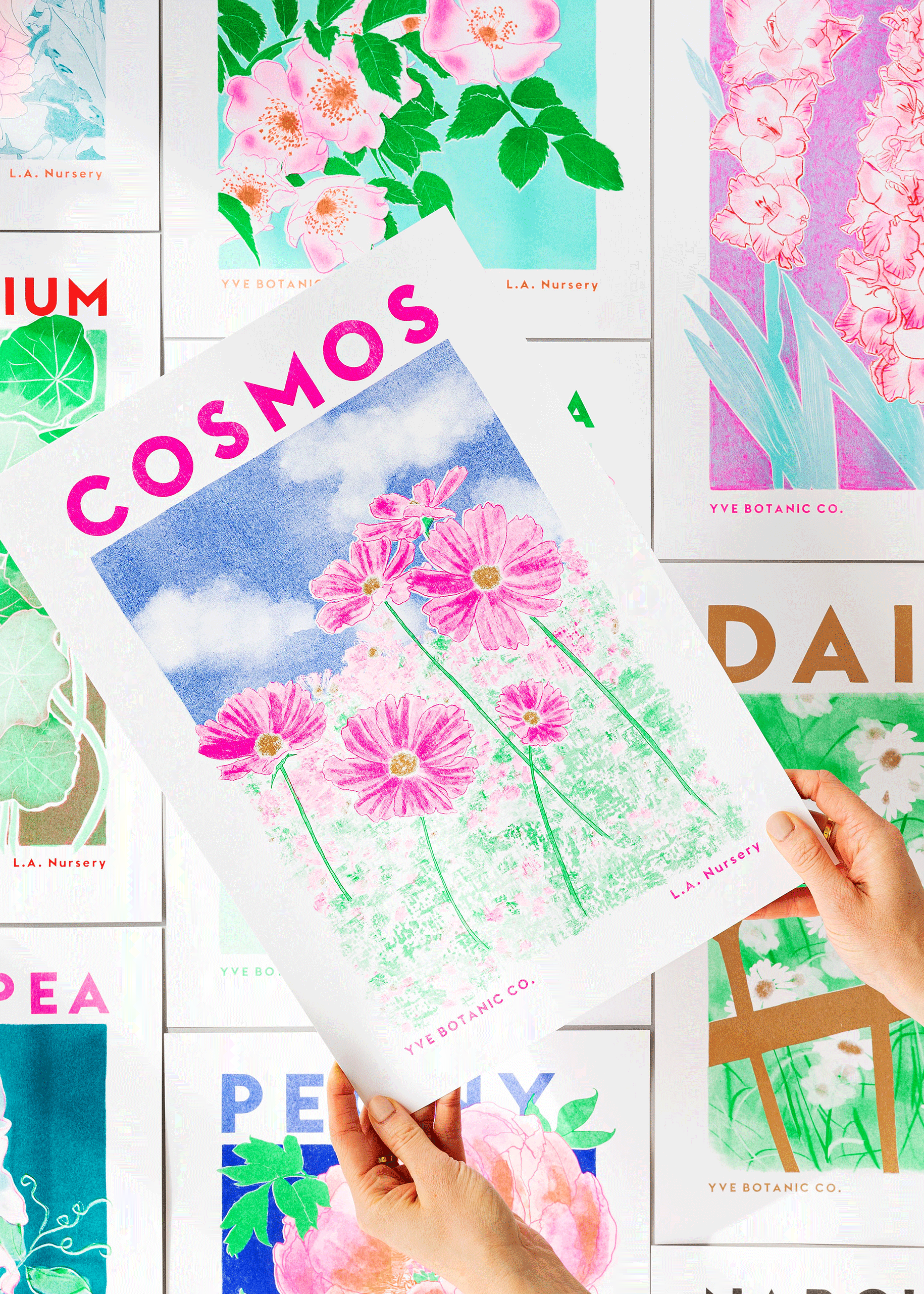 cosmos risograph print
