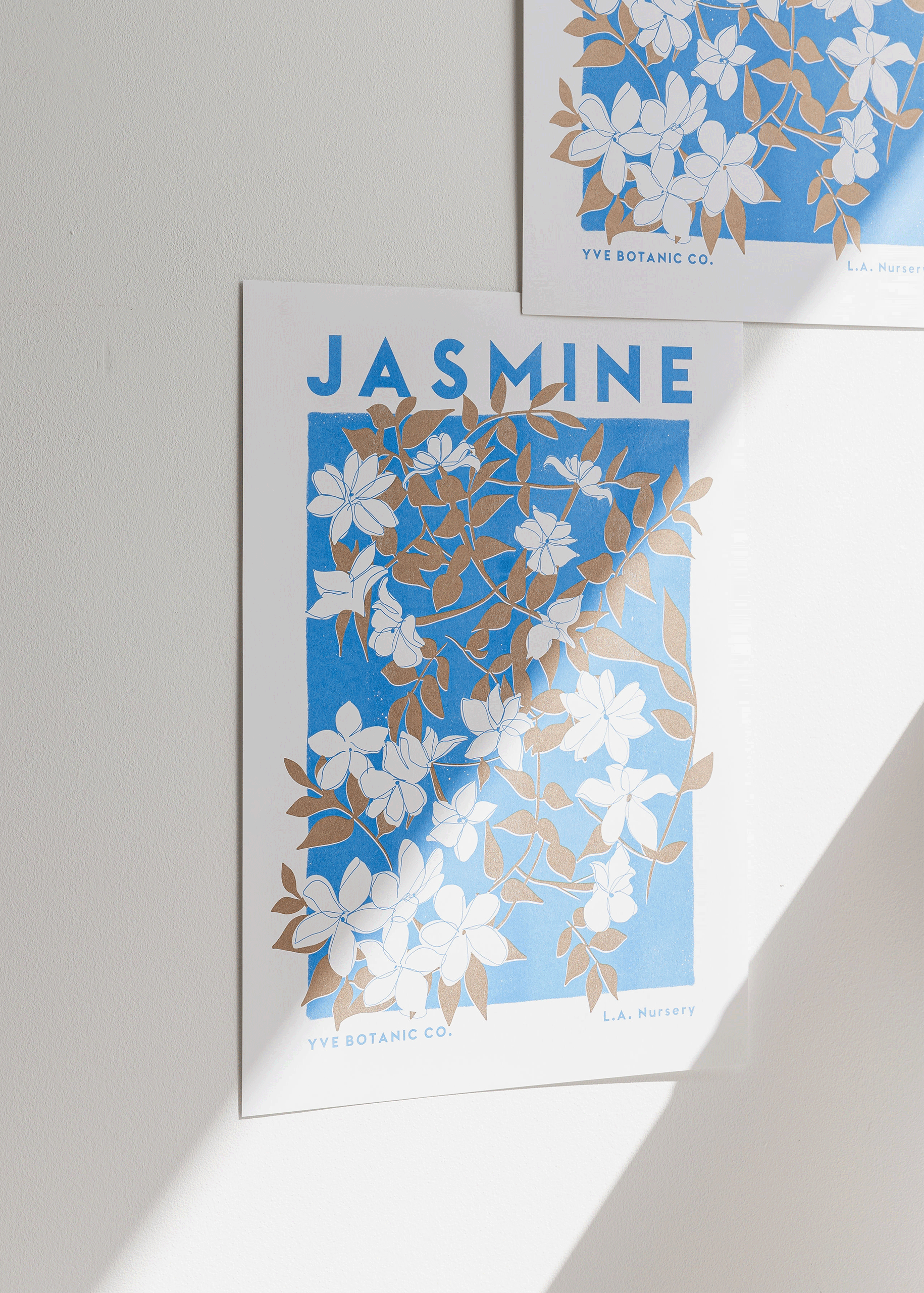 riso jasmine print