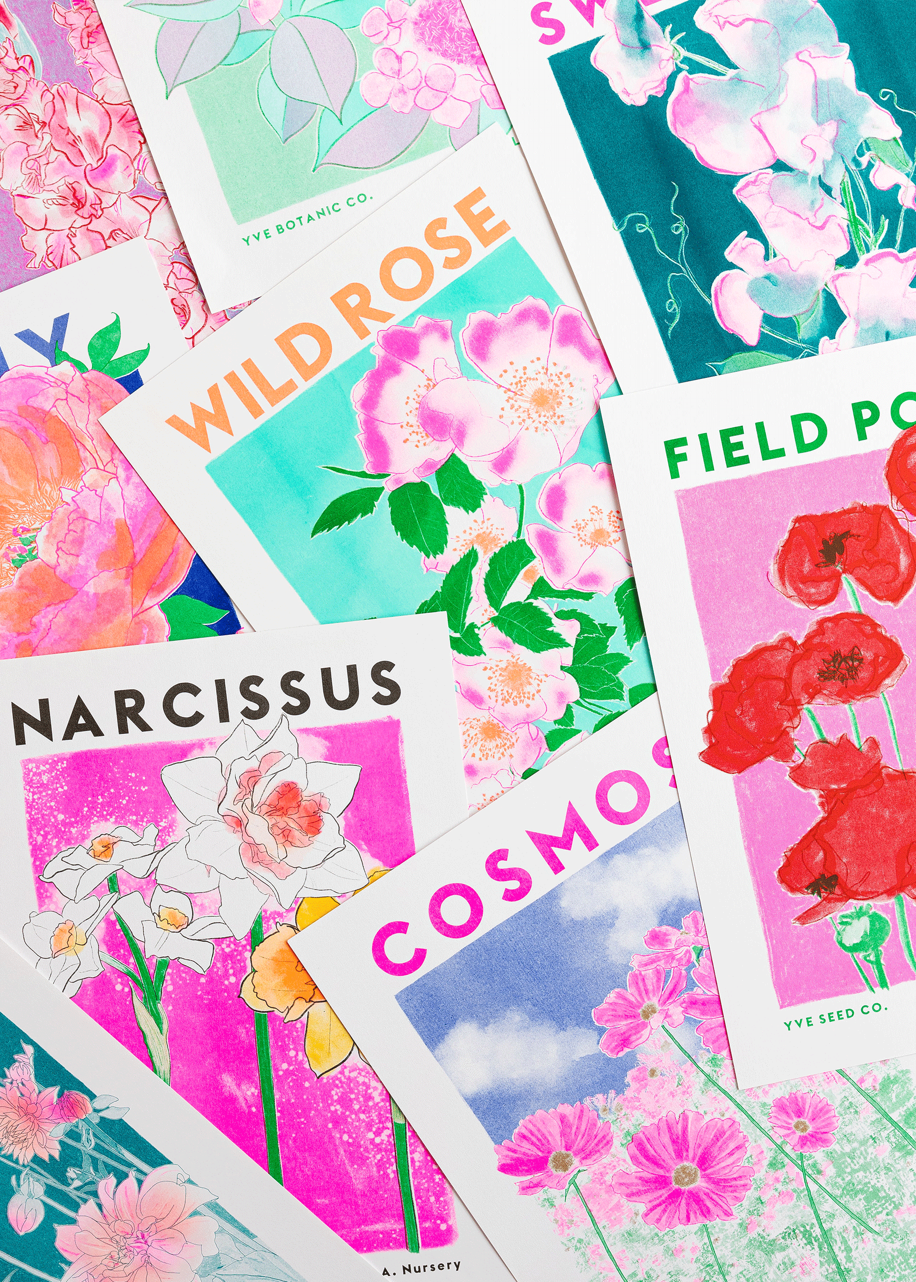 risographie collection