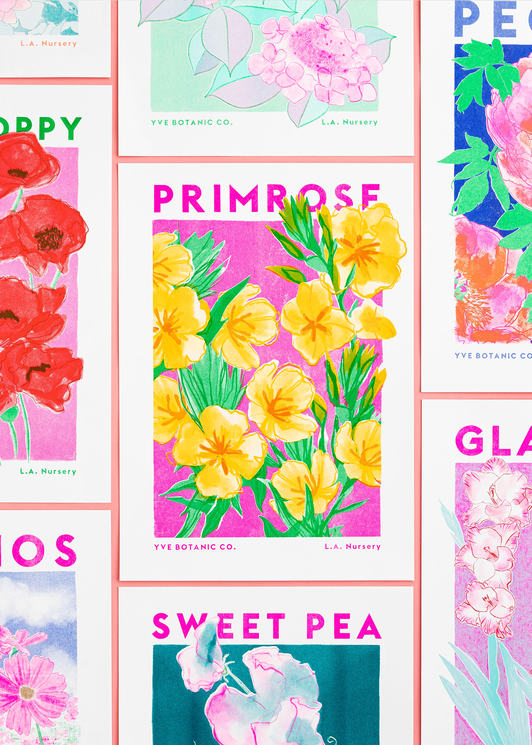 primrose and friends