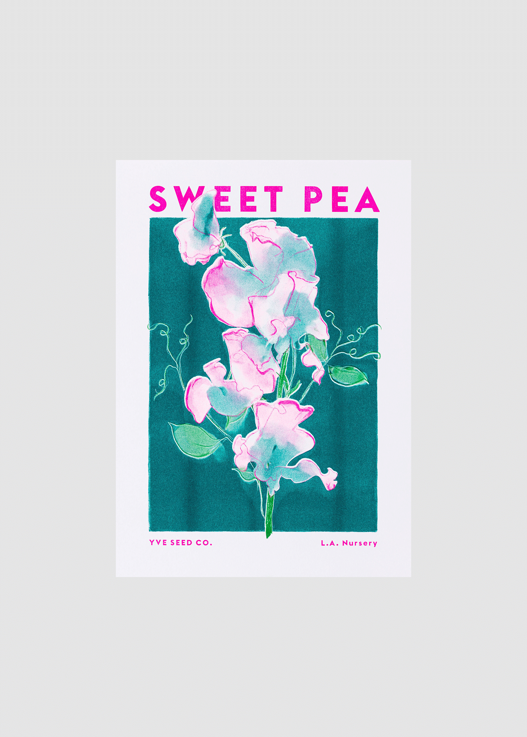 sweet pea riso print