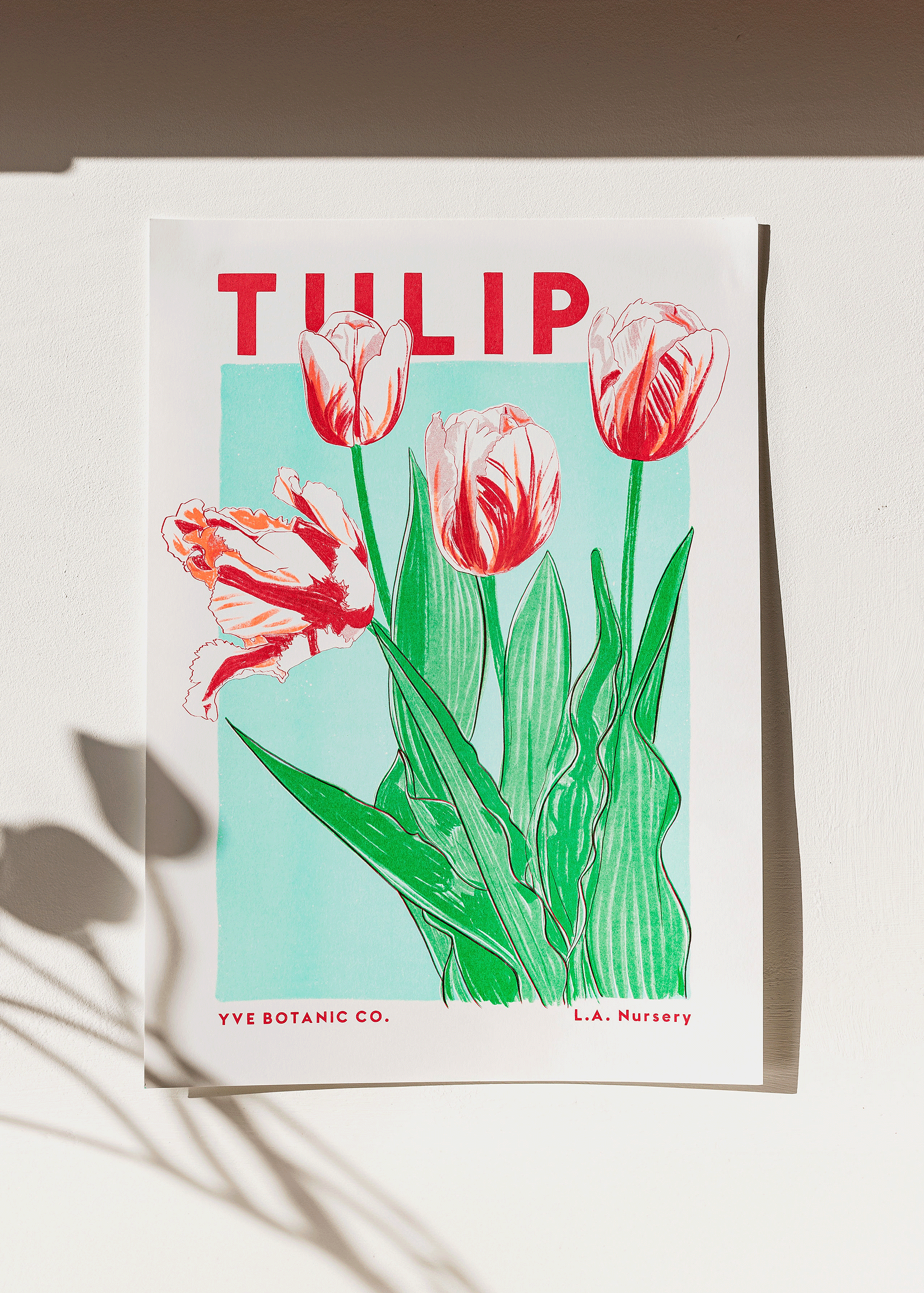 tulip flower print