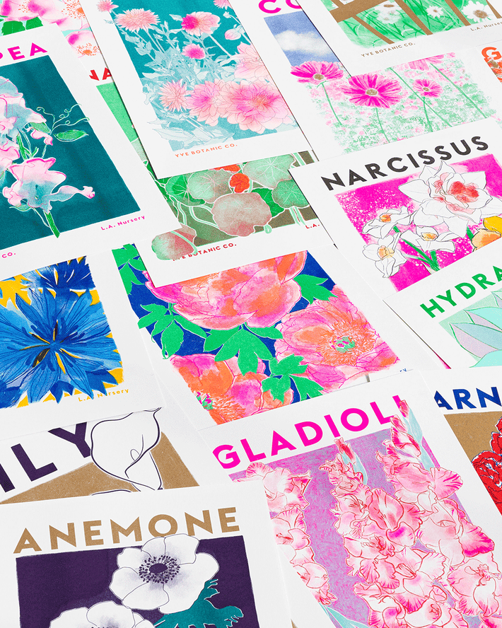 botanical prints