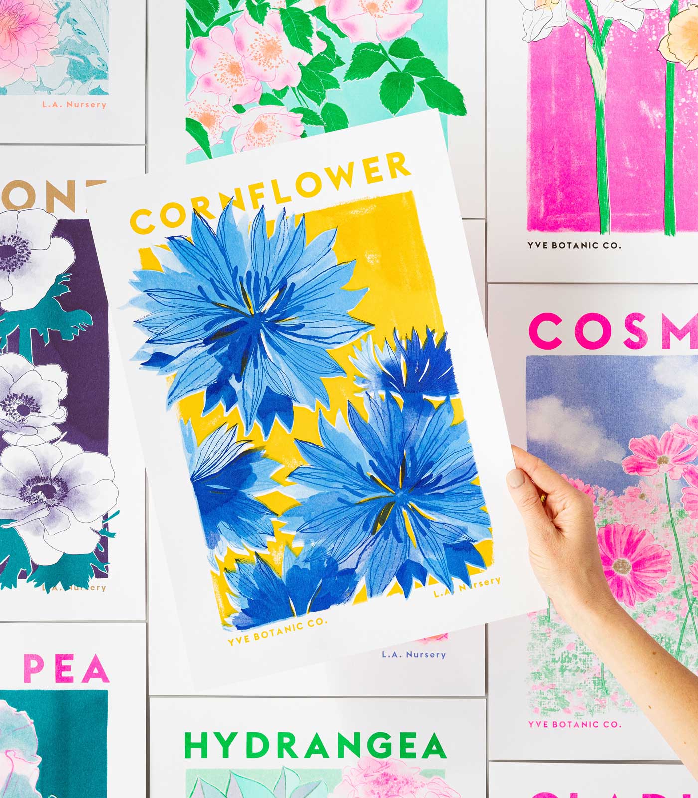 Cornflower Botanical Risograph Print