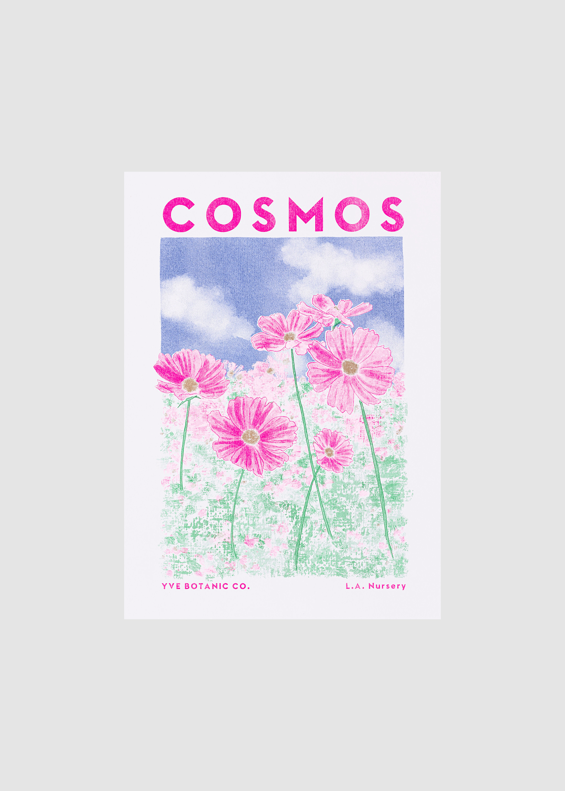 cosmos prints