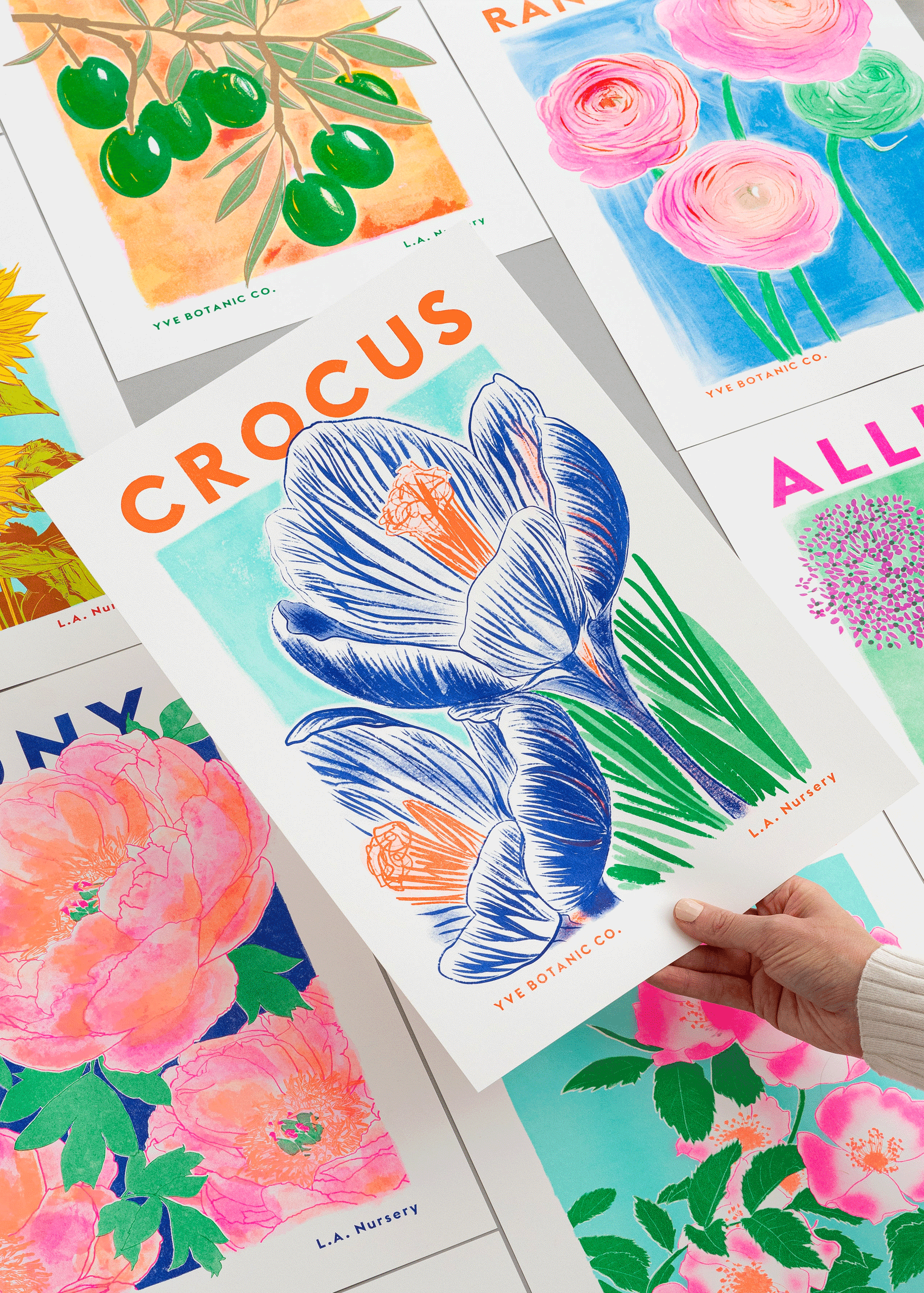Crocus Flower Risograph Print