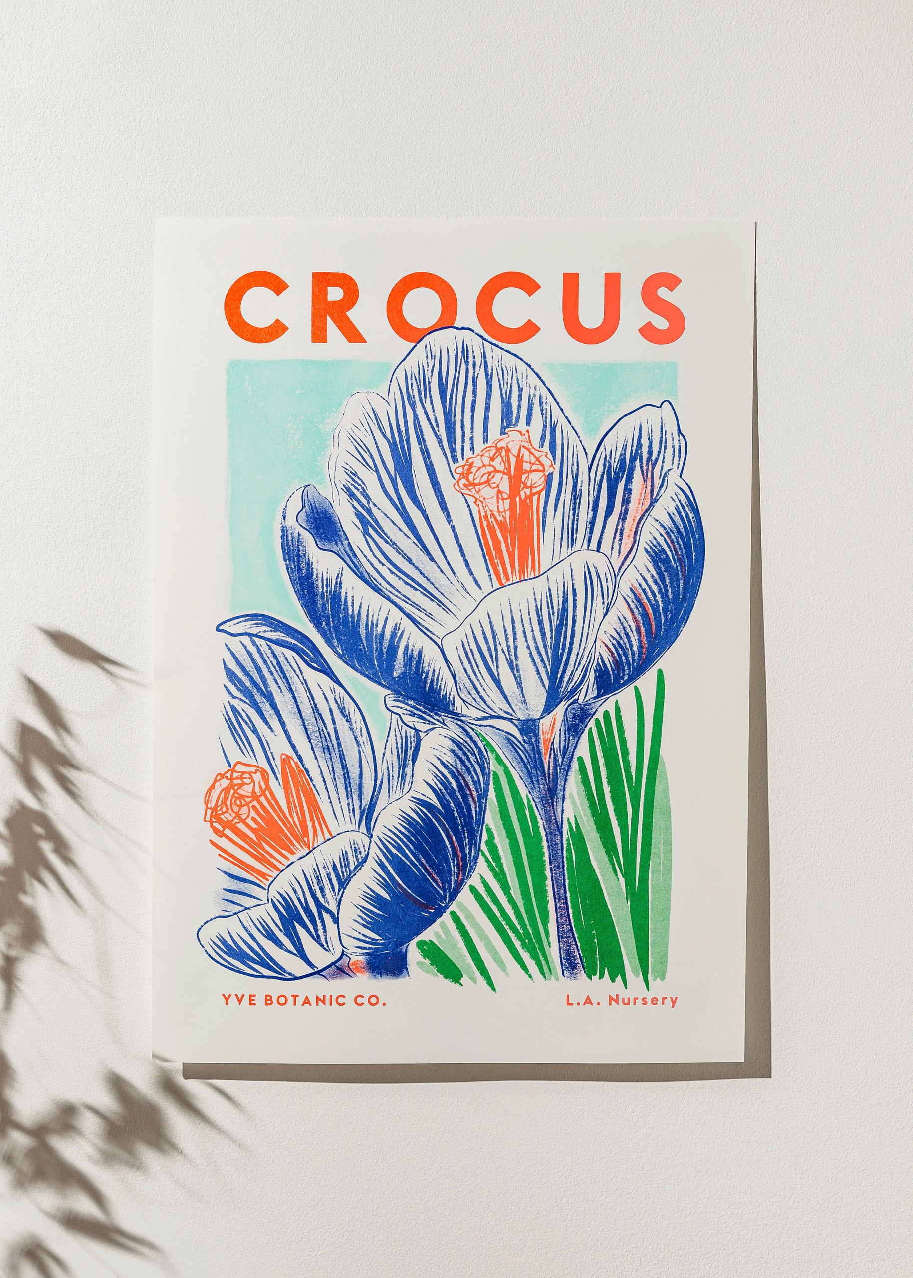 Crocus Flower Risograph Print