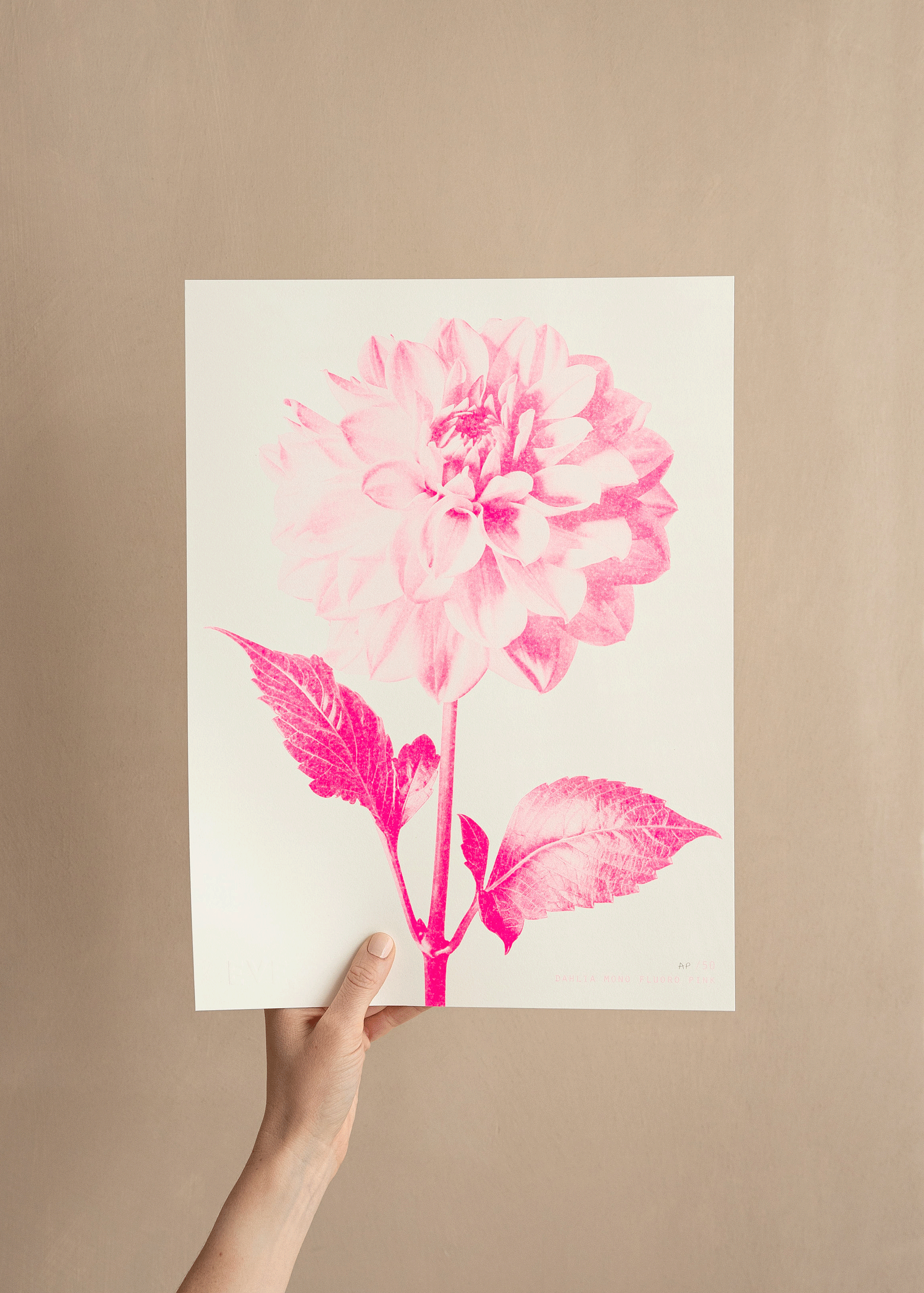 Dahlia Mono Fluoro Pink Risograph Print