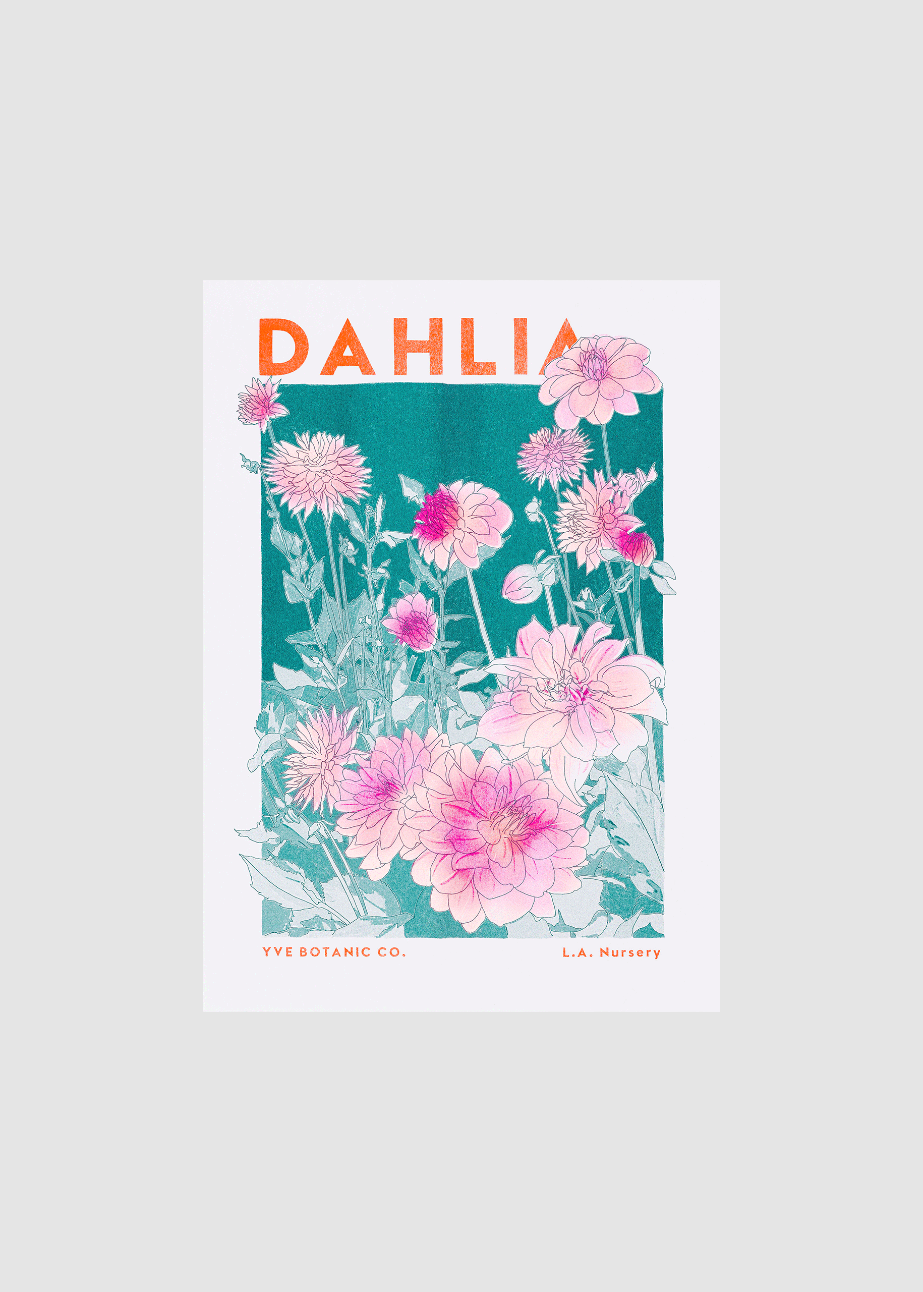 dahlia flower print