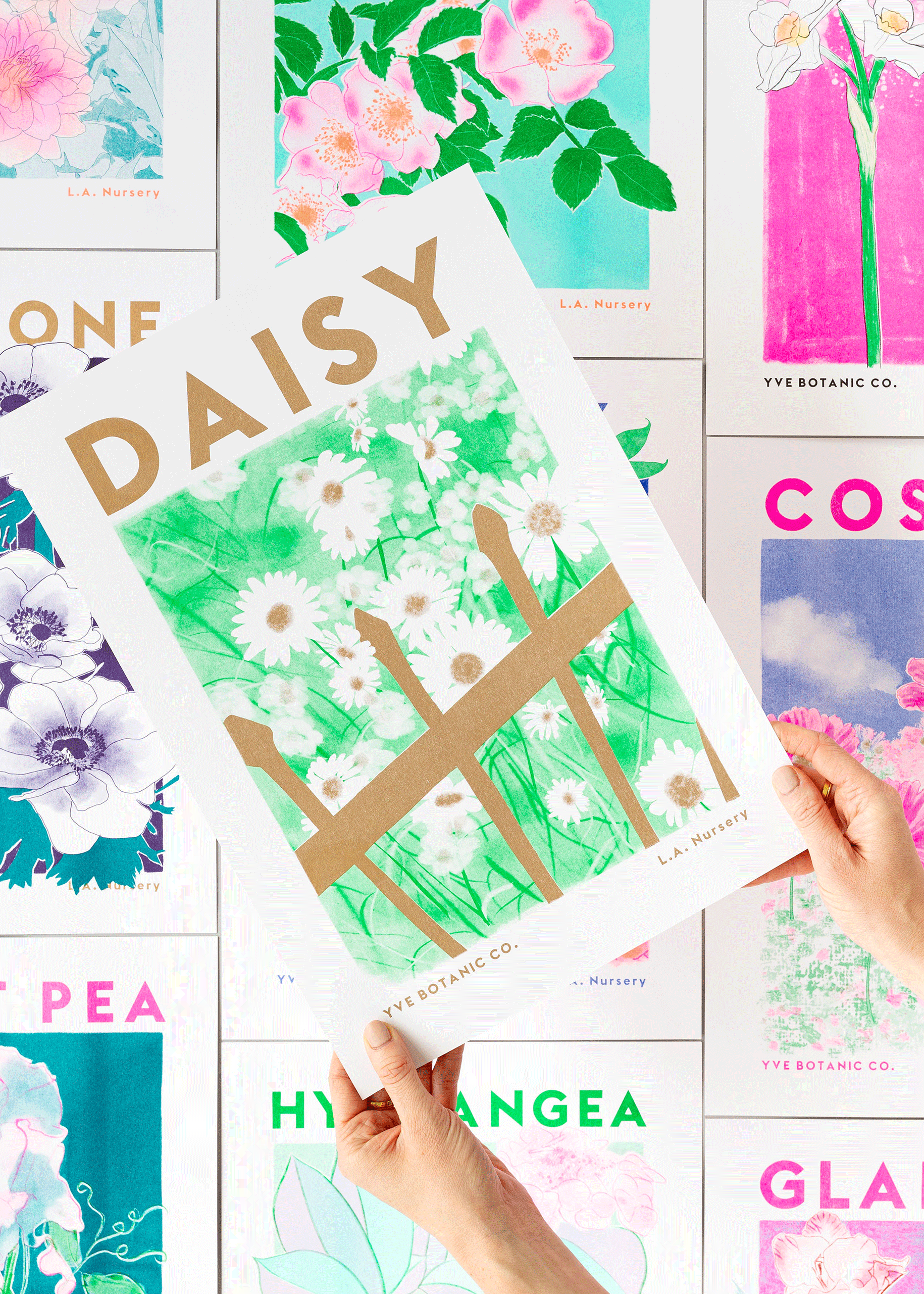 daisy riso print