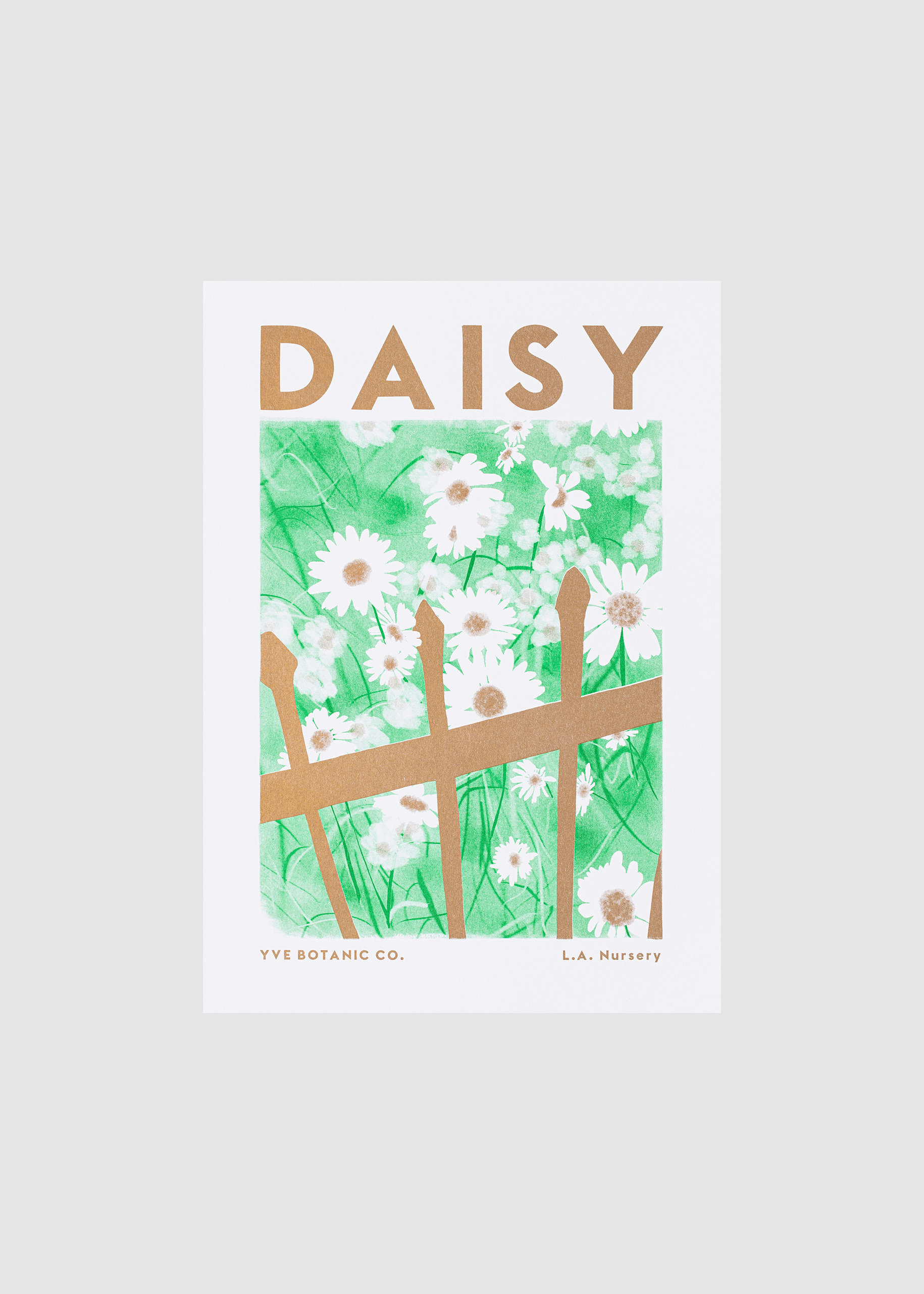 daisy riso artwork