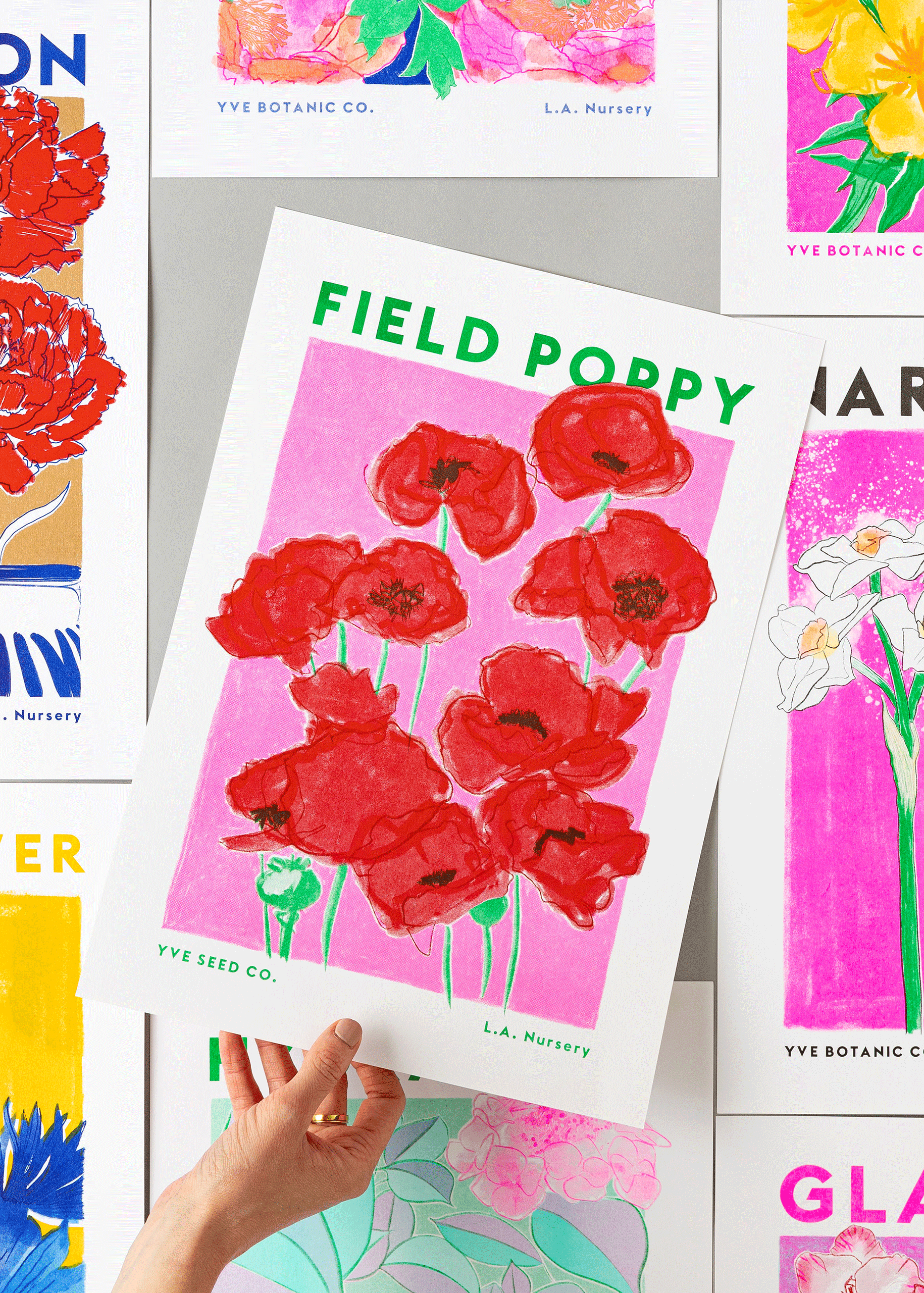 field poppy print