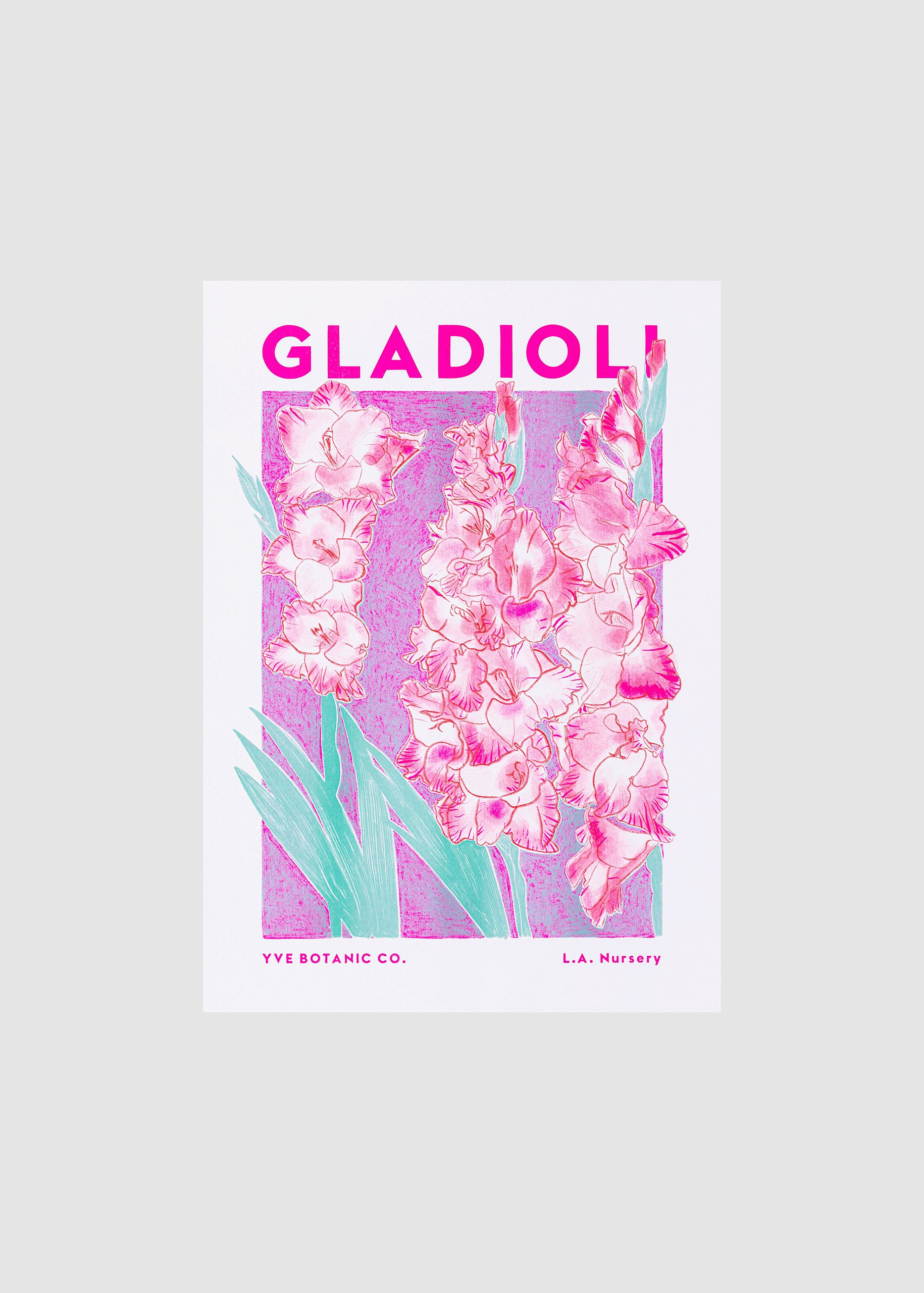 Gladioli Flower Risograph Print