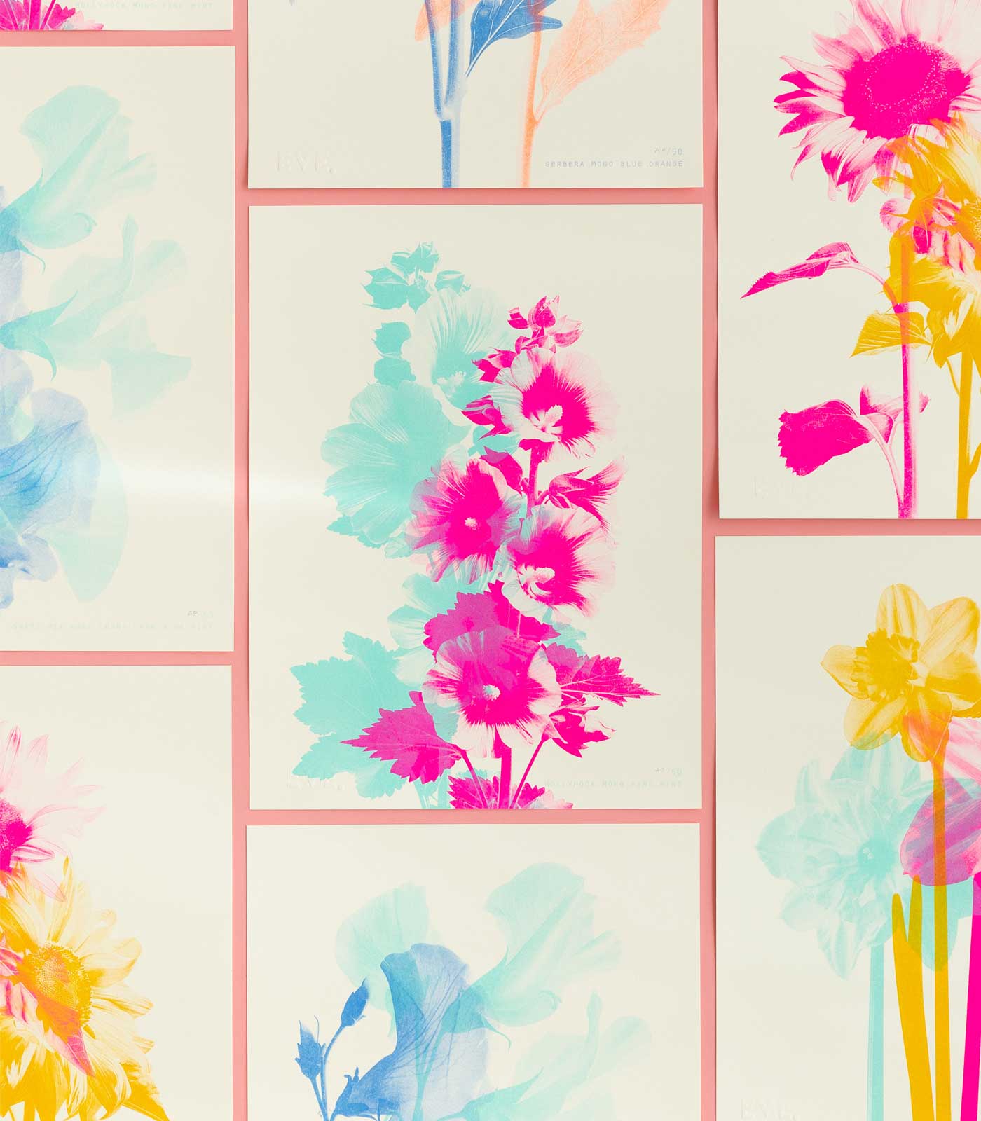 Hollyhock Mono Fluoro Pink + Mint Risograph Print