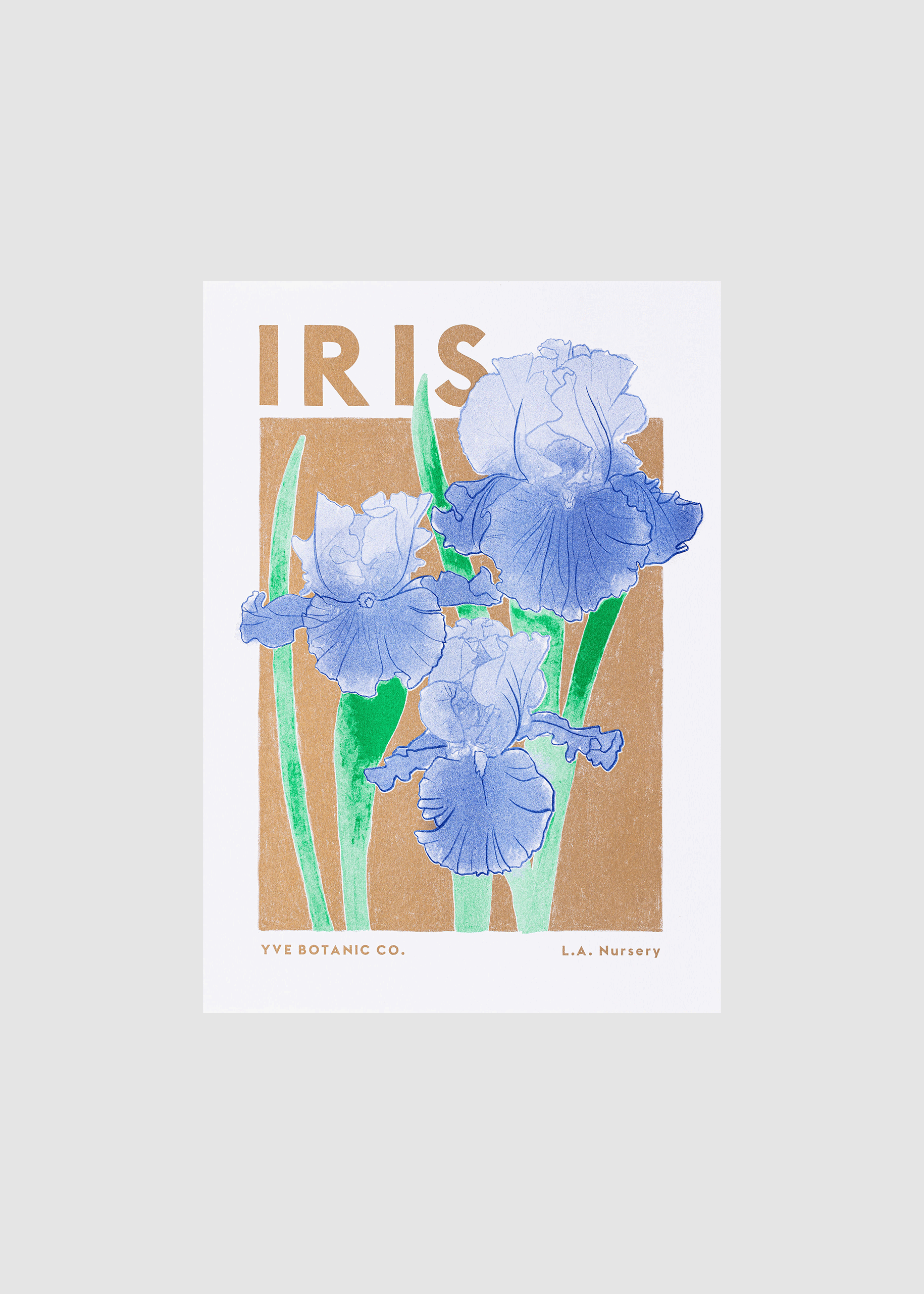 Iris Flower Risograph Print