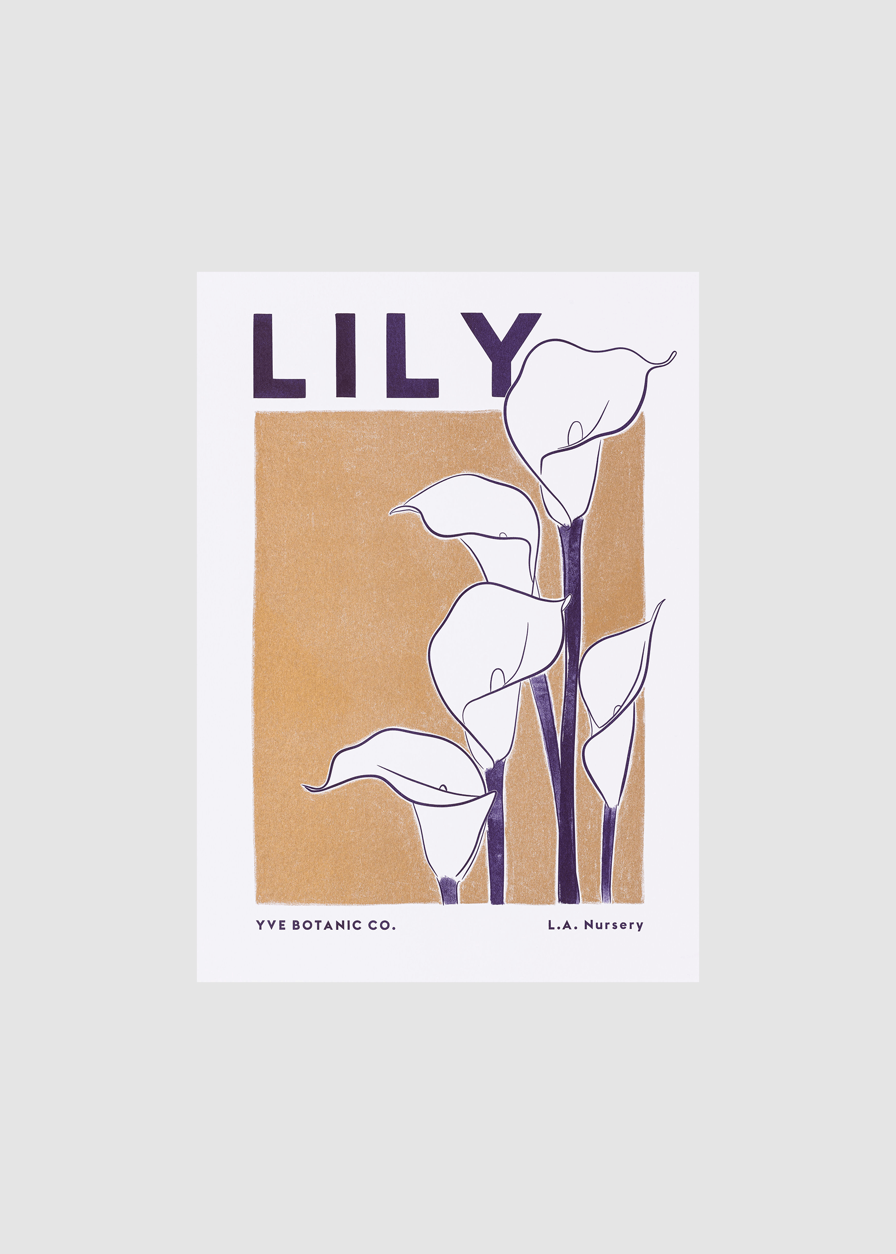 cala lily print