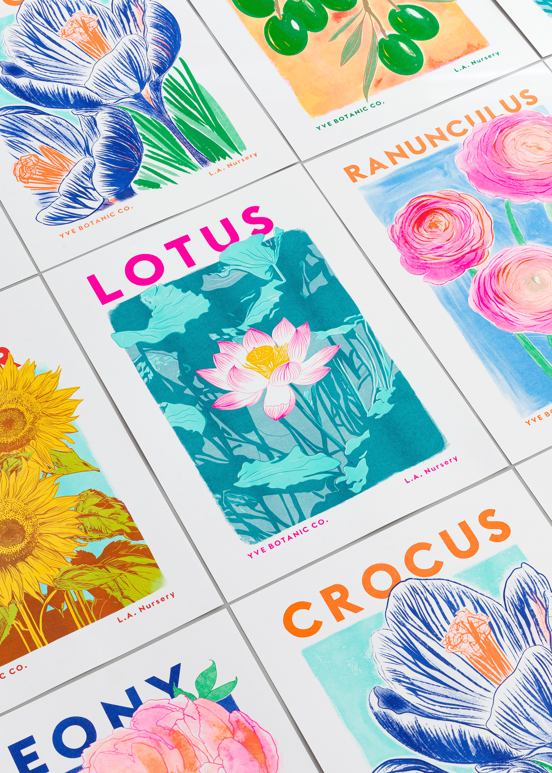 Lotus Flower Botanical Risograph Print