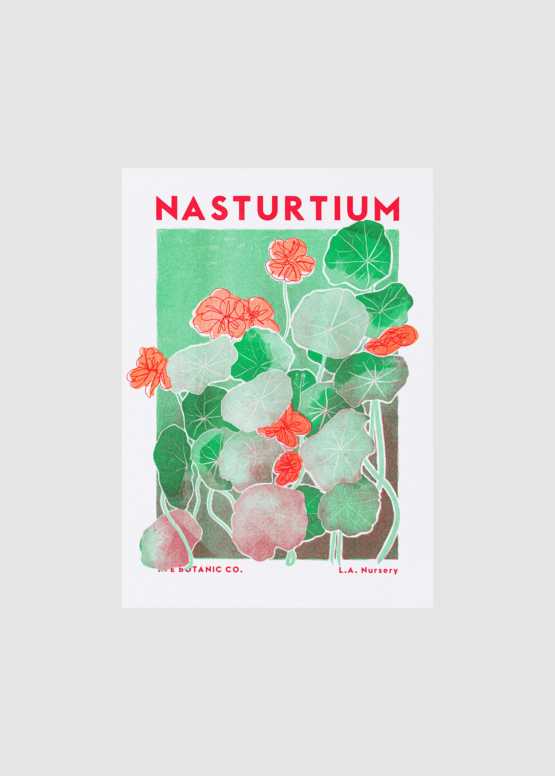 nasturtium risograph print