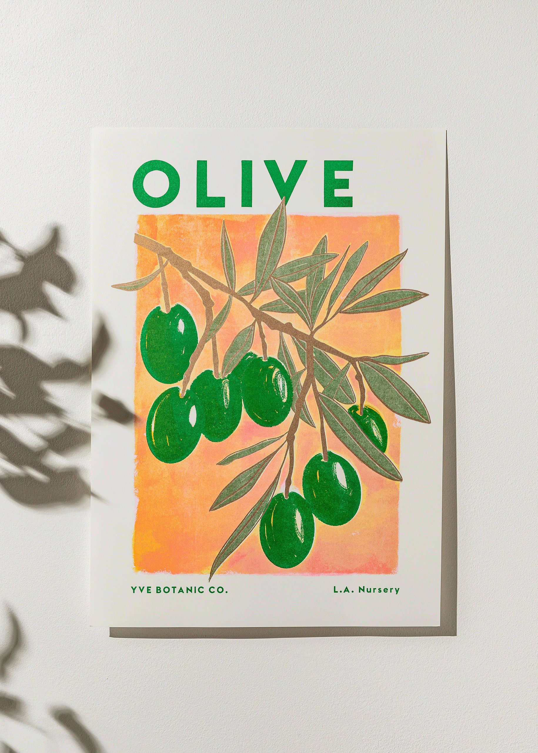 Olive Botanical Risograph Print