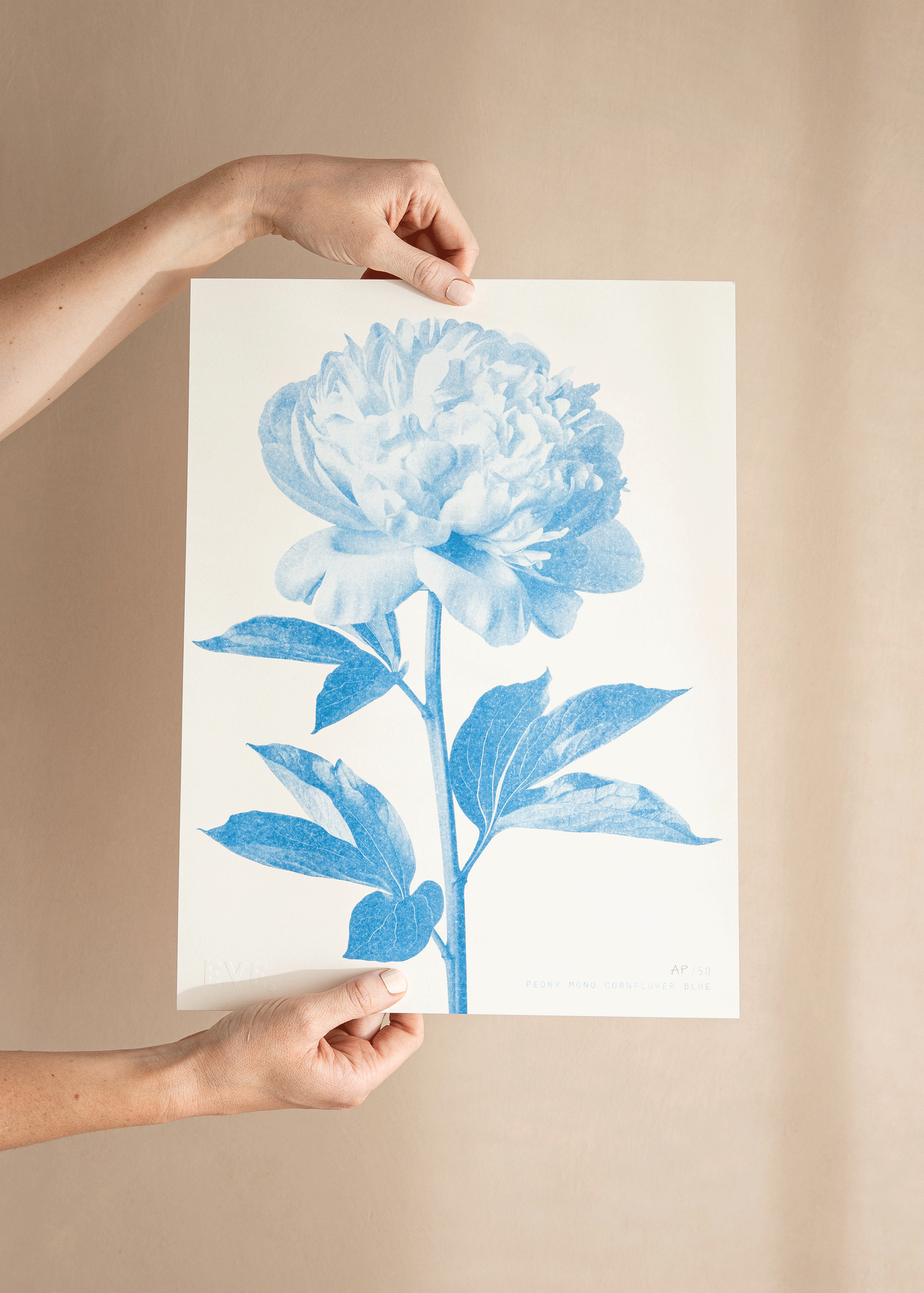 Peony Mono Cornflower Blue Risograph Print