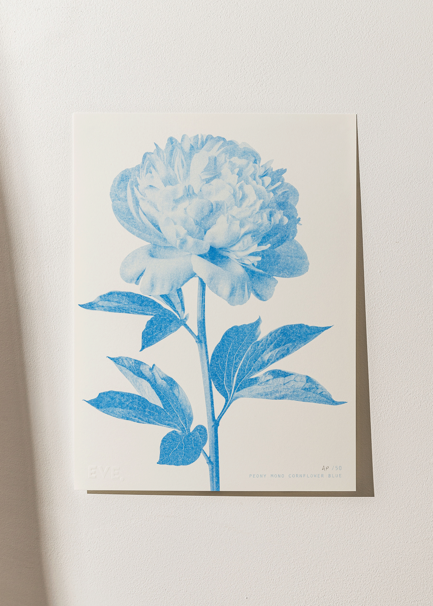 Peony Mono Cornflower Blue Risograph Print