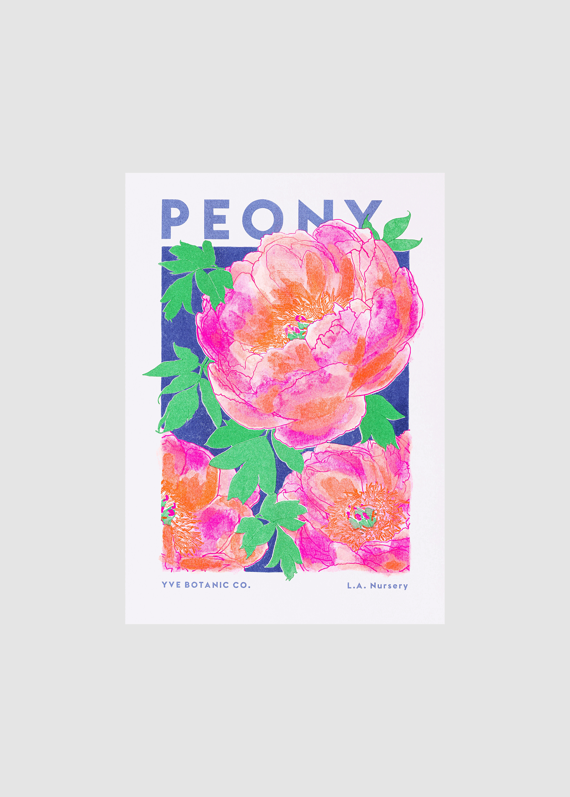 peony riso print