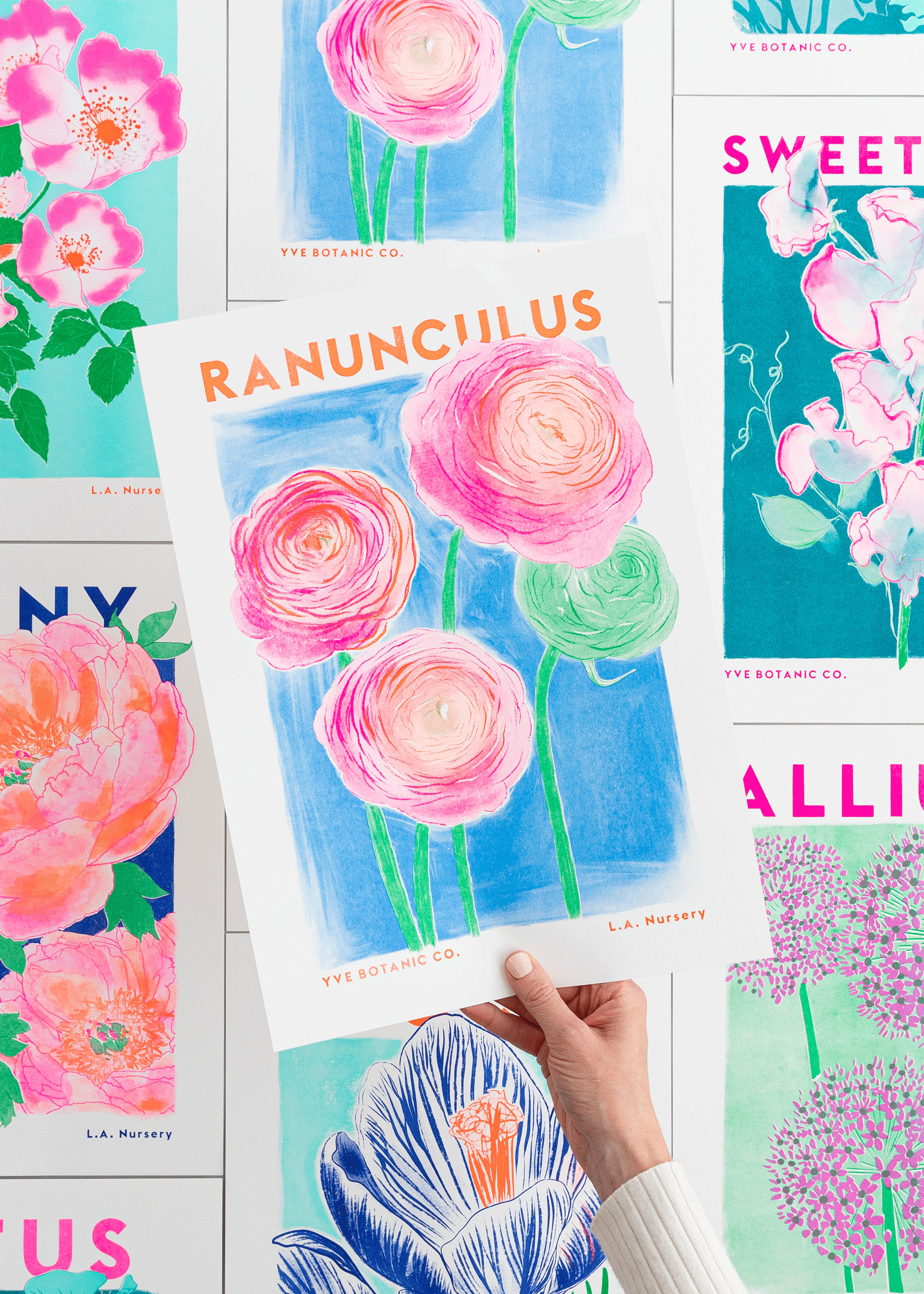 Ranunculus Botanical Risograph Print