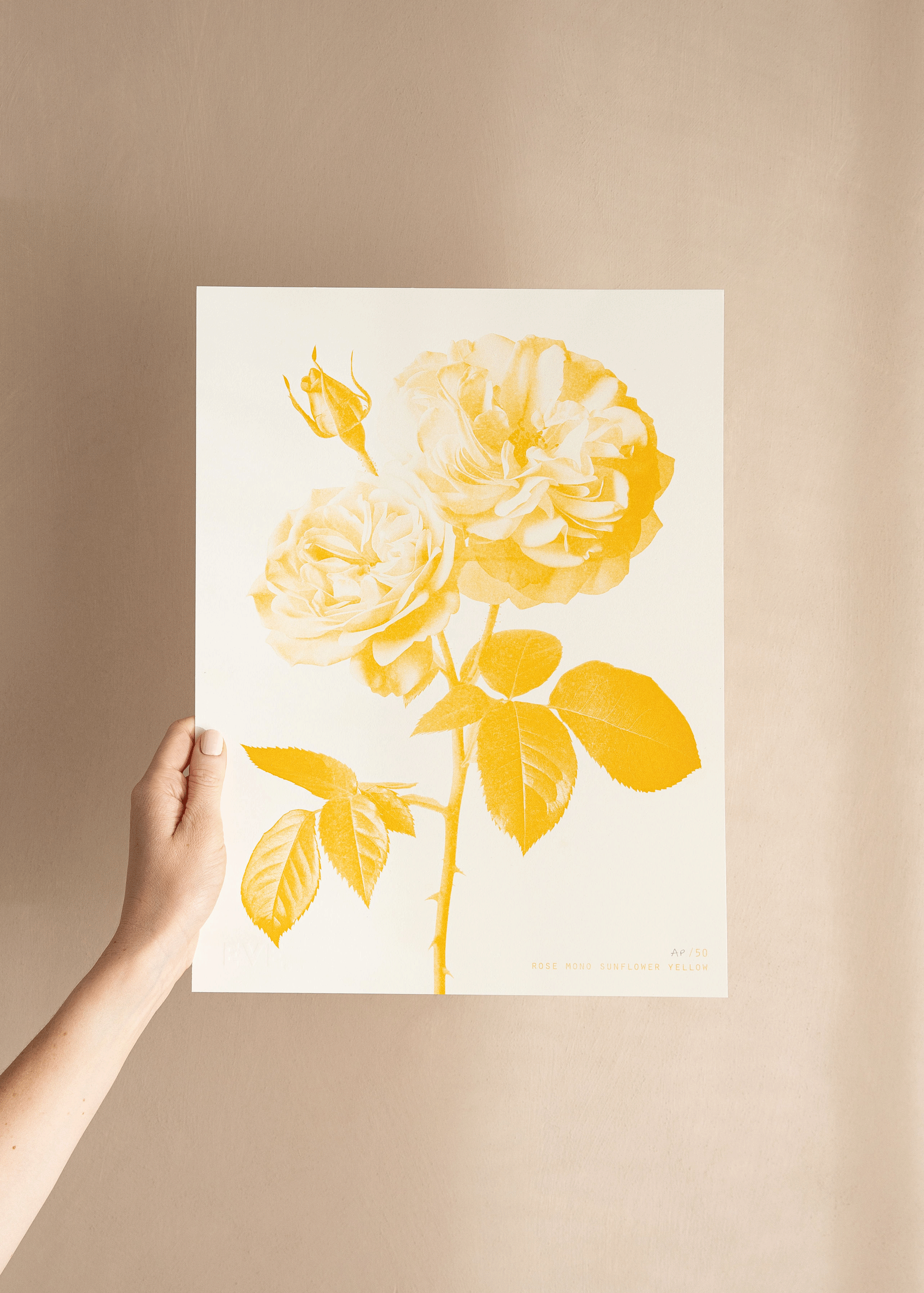 Rose Mono Sunflower Yellow Risograph Print