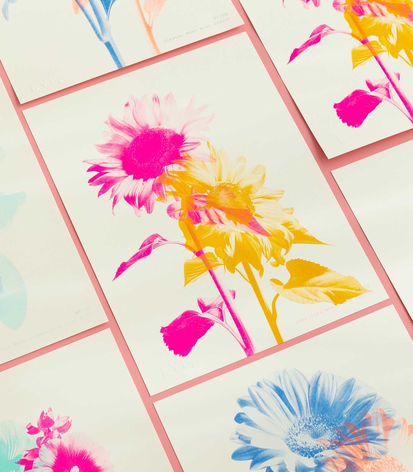 Sunflower Mono Fluoro Pink + Sunflower Yellow Risograph Print