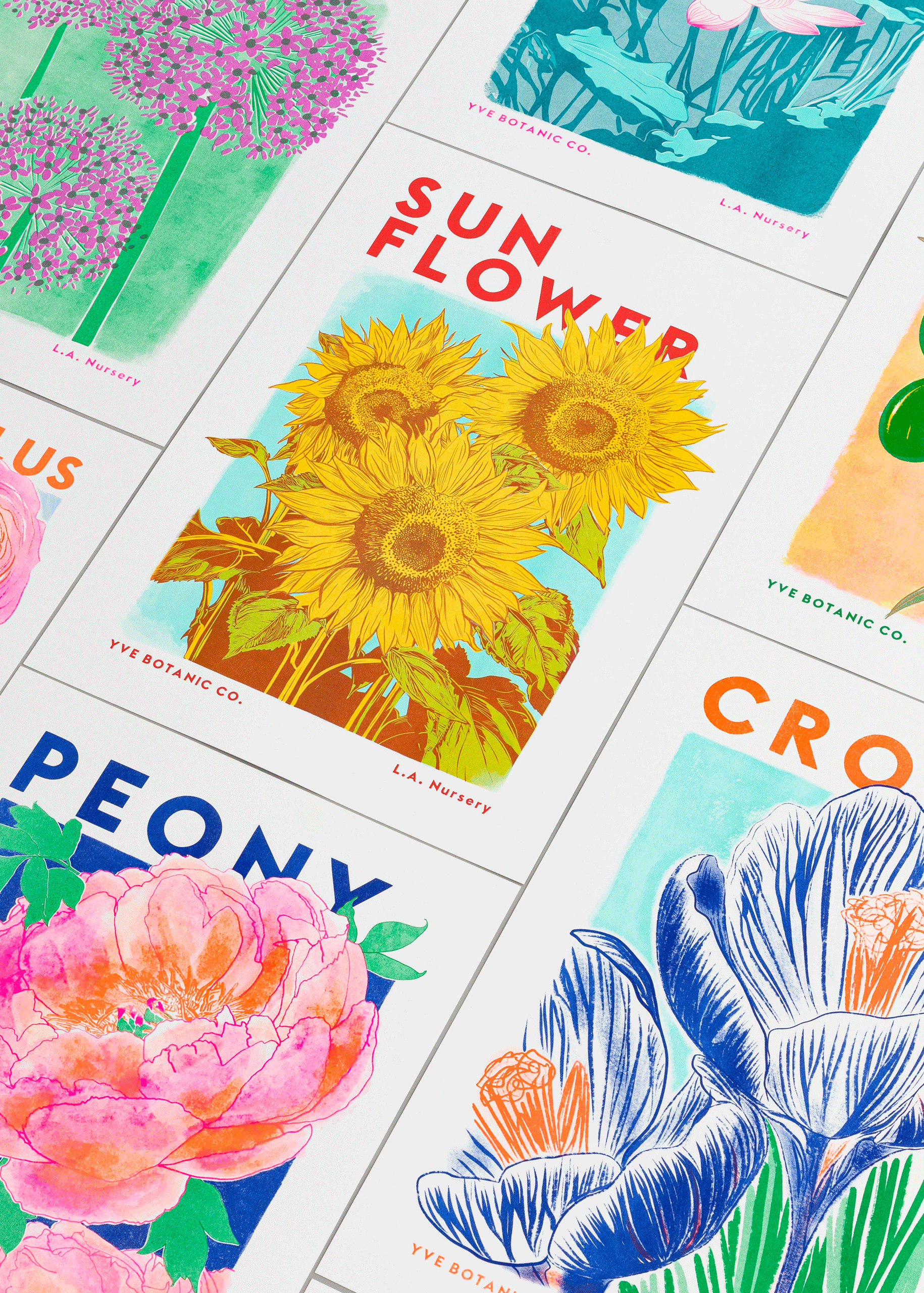 Sunflower Botanical Risograph Print