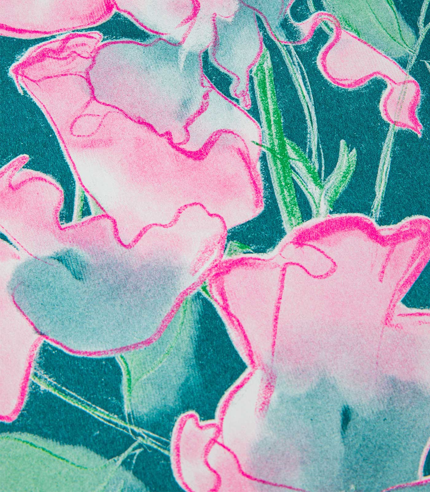 Sweet Pea Flower Risograph Print