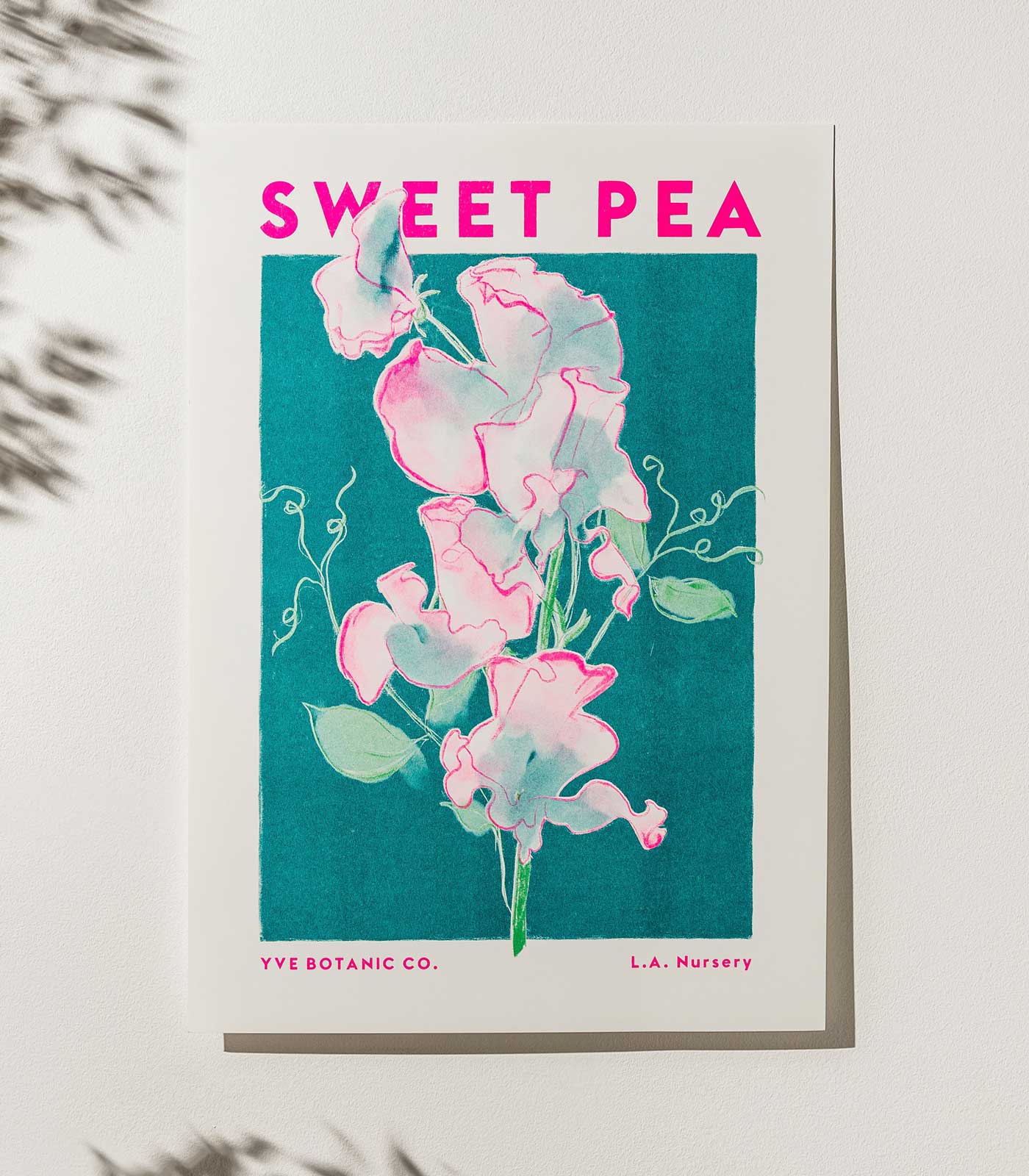 Sweet Pea Flower Risograph Print