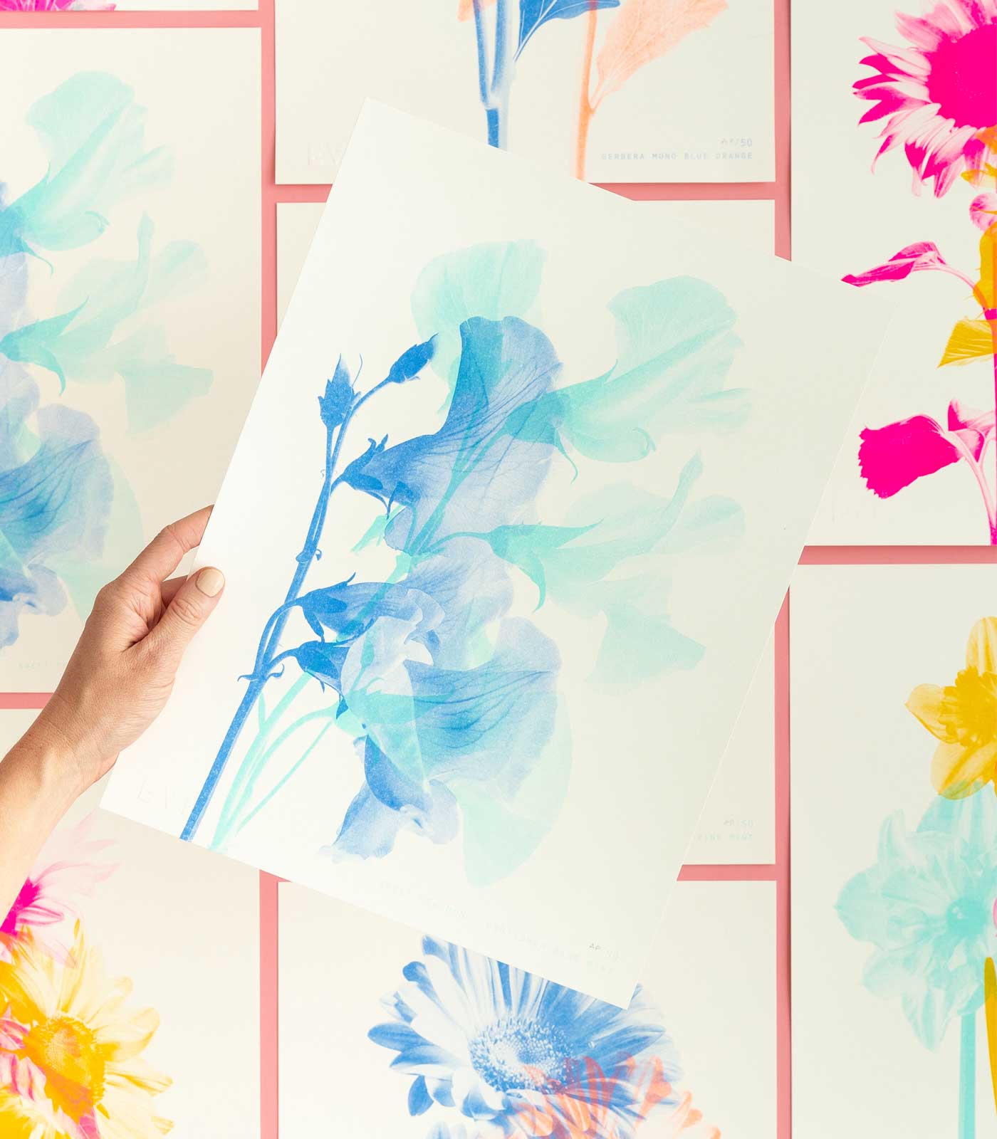 Sweet Pea Mono Cornflower Blue + Mint Risograph Print