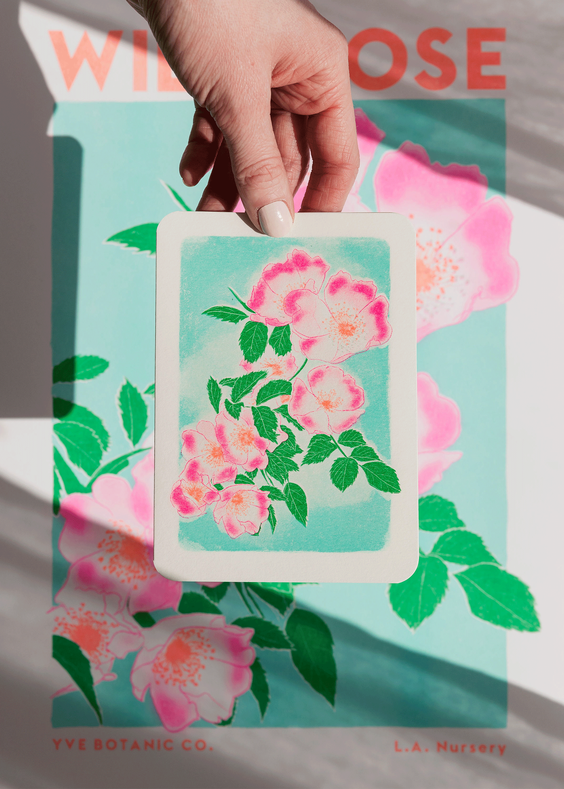 wild rose card