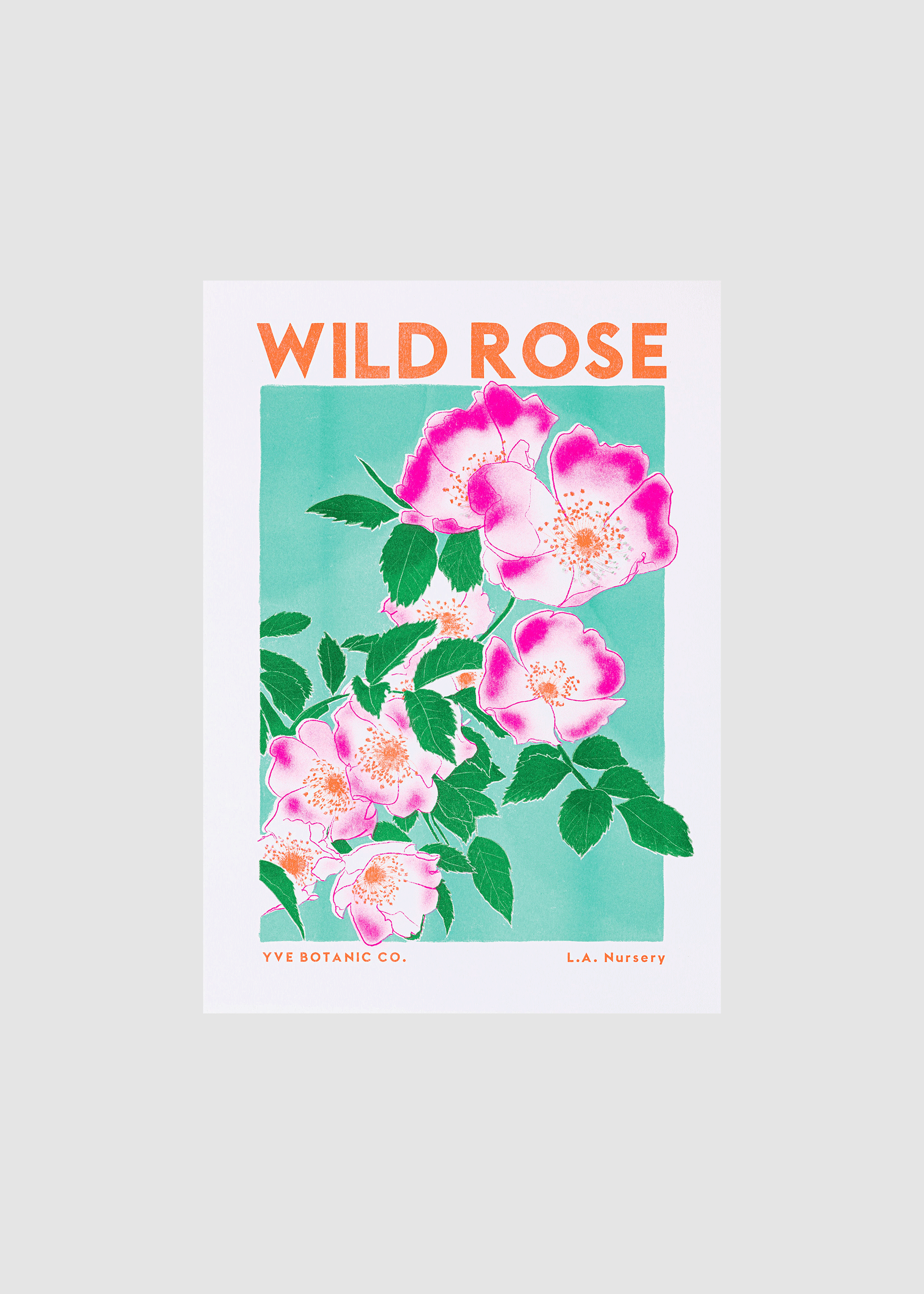 wild rose riso print