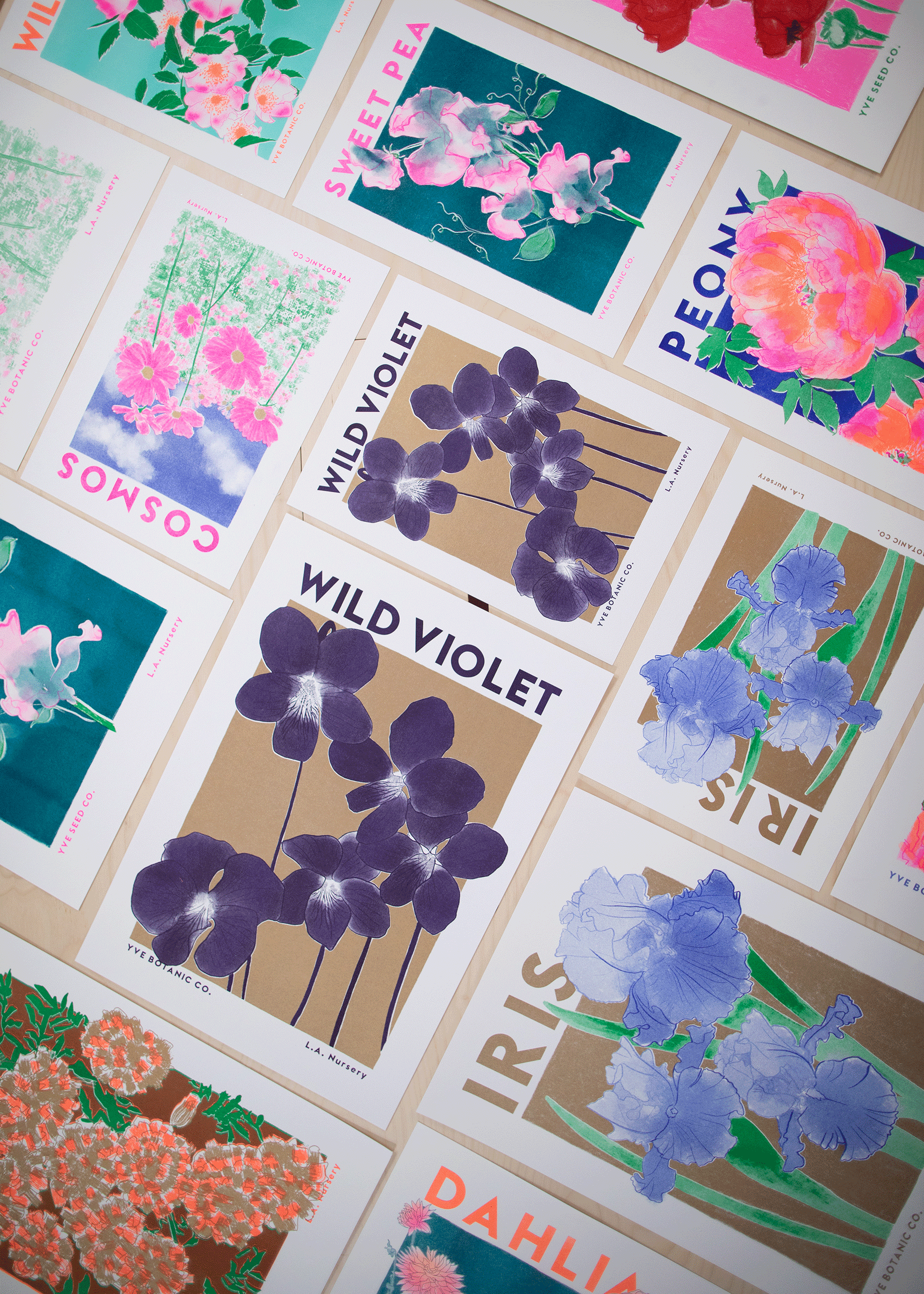 wild violet prints